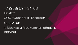 9585943163